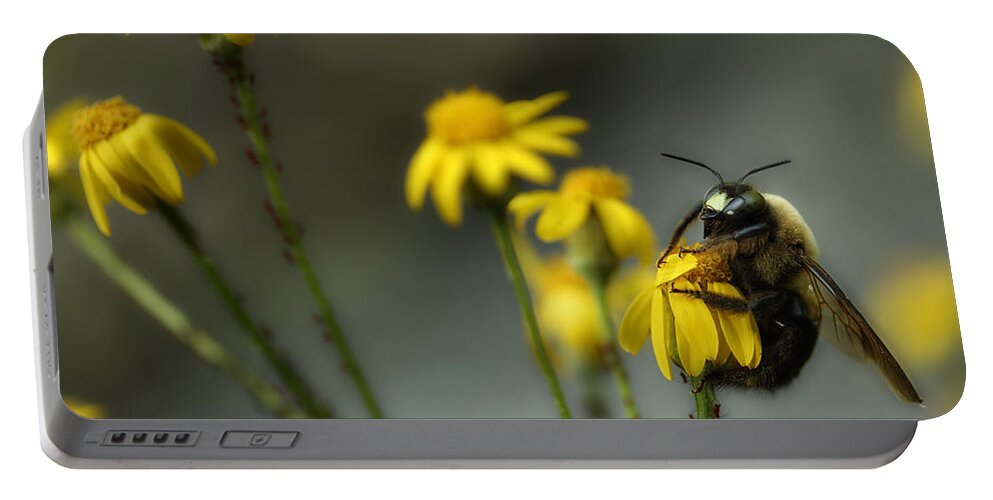 Carpenter Bee Portable Battery Charger featuring the photograph It's Mine-All Mine by Michael Eingle