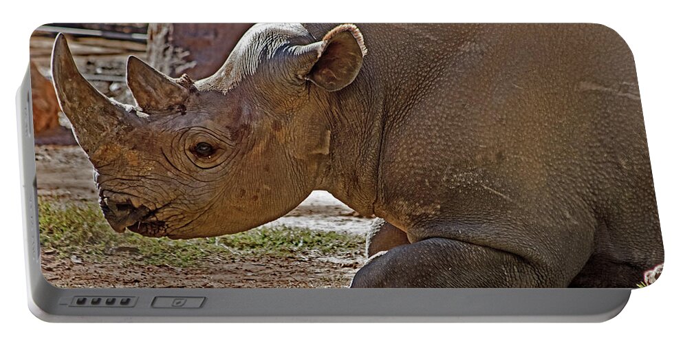 #black Rhino Portable Battery Charger featuring the photograph Its my horn not your medicine by Miroslava Jurcik