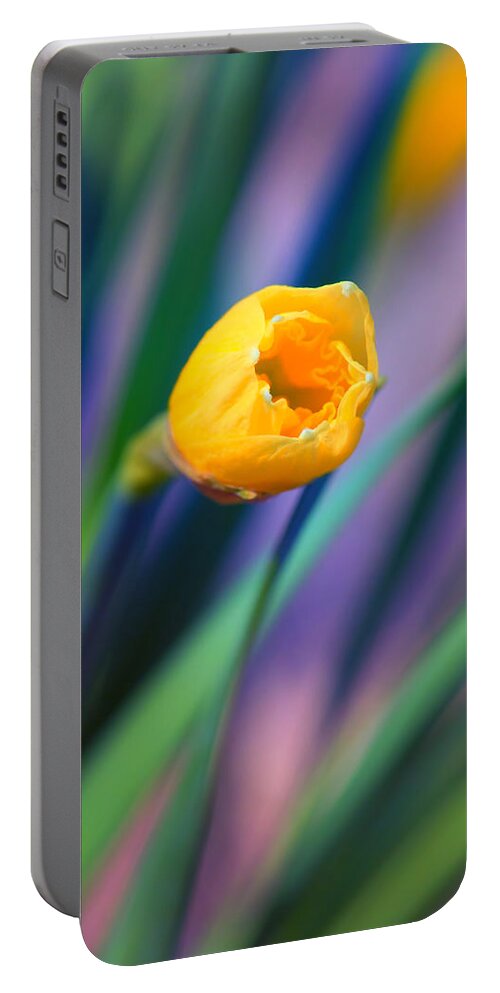 Narcissus Portable Battery Charger featuring the photograph Itsy Bitsy Daffodil Bloom by Bill and Linda Tiepelman