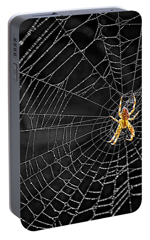 Bugs Portable Battery Charger featuring the photograph Itsy Bitsy Spider My Ass 3 by Steve Harrington