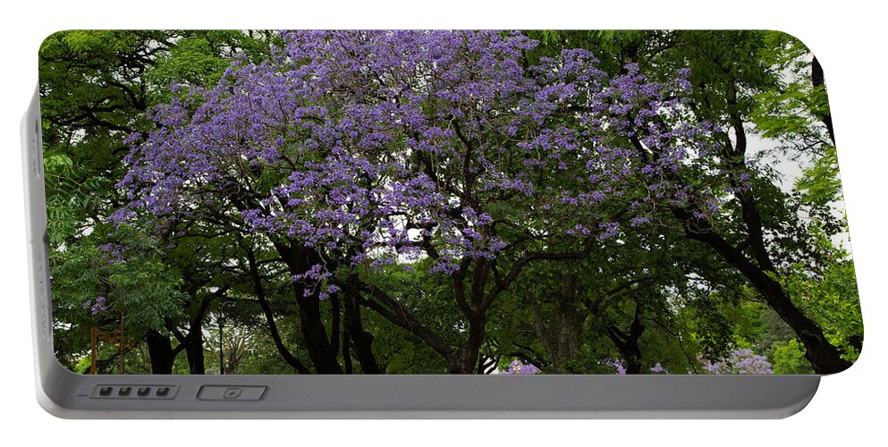 Jacaranda Portable Battery Charger featuring the photograph Jacaranda in the Park by John Daly