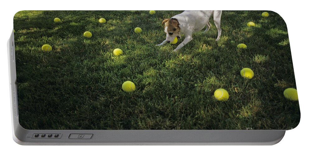 Jack Russell Terrier Portable Battery Charger featuring the photograph Jack Russell Terrier tennis balls by Jim Corwin