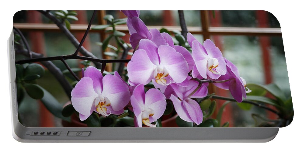 Jade Portable Battery Charger featuring the photograph Jade and Orchid by Marilyn Hunt