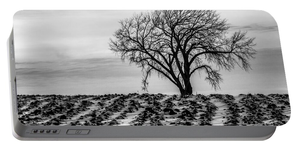 Lone Tree Portable Battery Charger featuring the photograph January by Penny Meyers