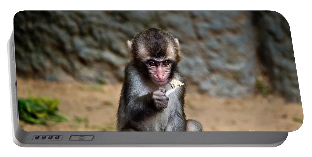 Macaque Portable Battery Charger featuring the photograph Japanese Macaque Monkey by Ms Judi