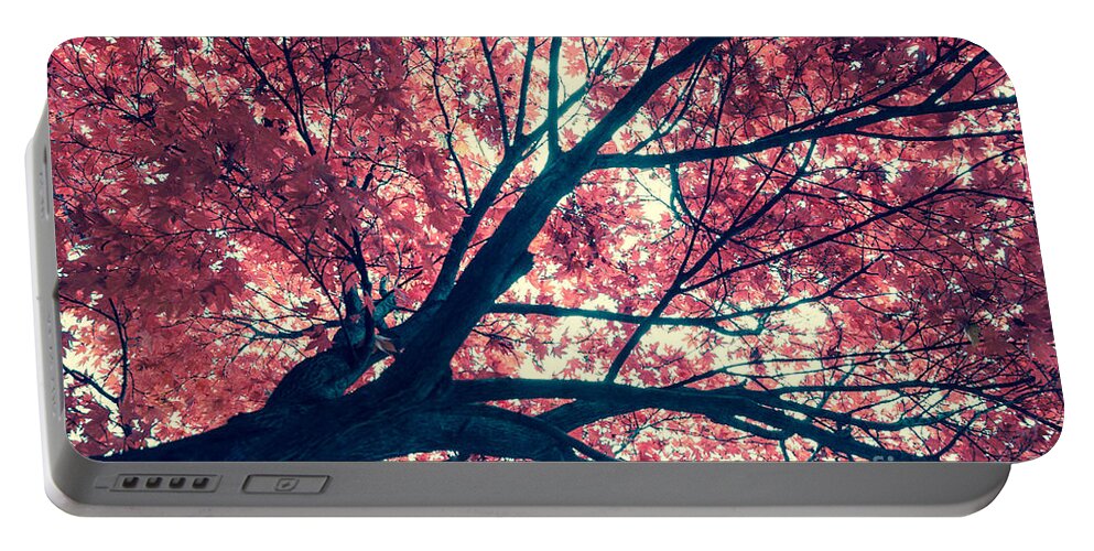 Autumn Portable Battery Charger featuring the photograph Japanese Maple - Vintage by Hannes Cmarits