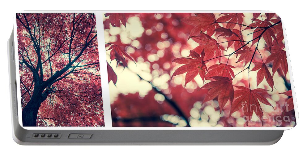 Autumn Portable Battery Charger featuring the photograph Japanese Maple Collage by Hannes Cmarits
