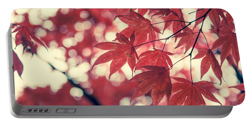 Autumn Portable Battery Charger featuring the photograph Japanese Maple Leaves - Vintage by Hannes Cmarits
