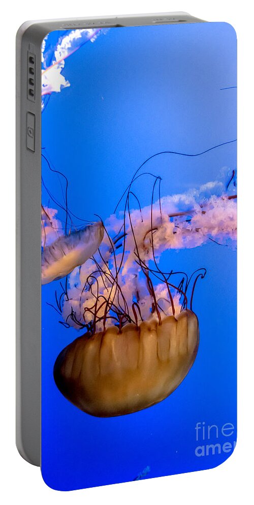 Deep Portable Battery Charger featuring the photograph Jelly Fish by Cheryl Baxter