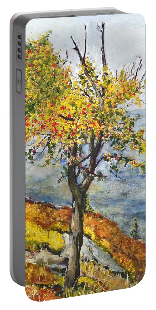 Landscape Portable Battery Charger featuring the painting Jerab by Pablo de Choros