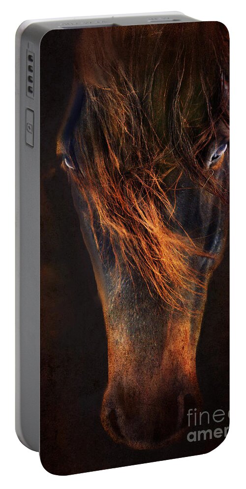 Horse Portable Battery Charger featuring the photograph Joe by Annette Coady