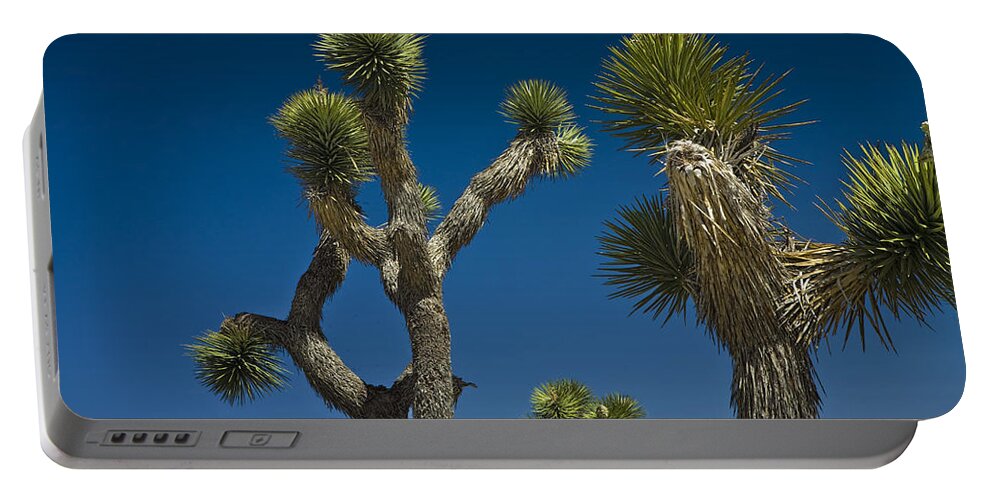 California Portable Battery Charger featuring the photograph Joshua Tree Branches against the Sky by Randall Nyhof
