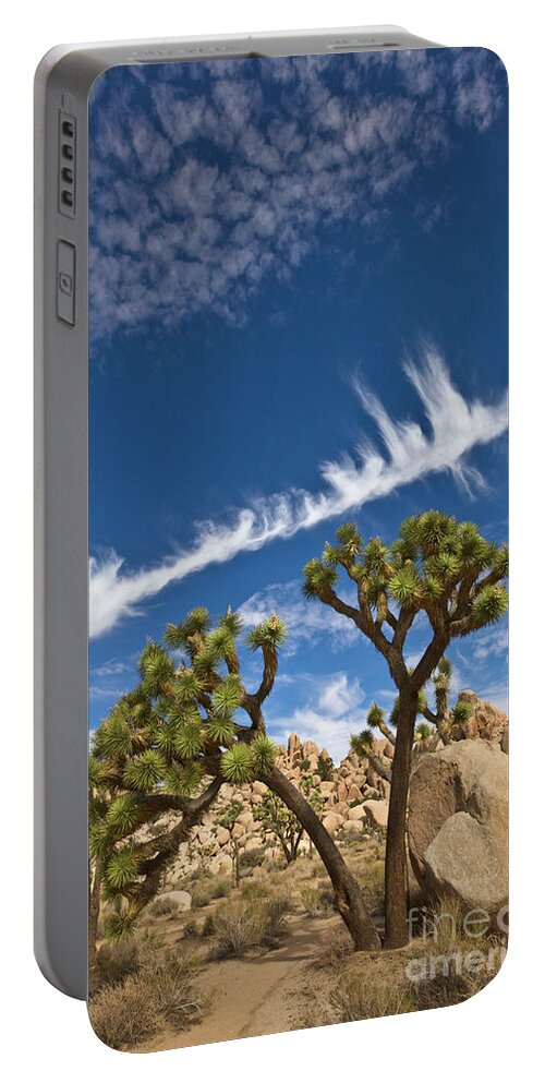 00559244 Portable Battery Charger featuring the photograph Joshua Trees in Joshua Tree Natl Park by Yva Momatiuk and John Eastcott