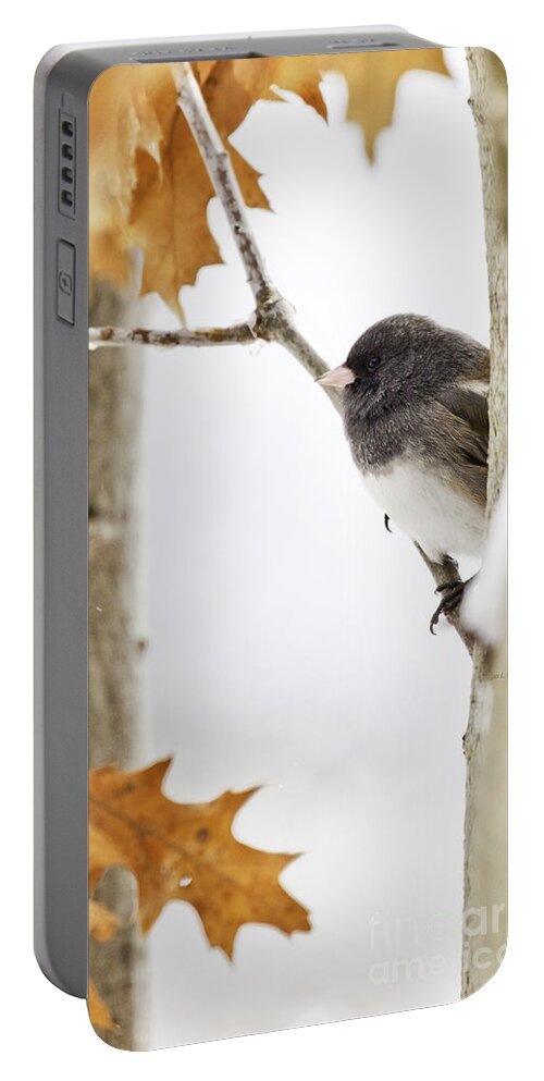 Junco Portable Battery Charger featuring the photograph Junco and Oak by Jan Killian