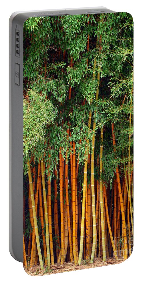 Trees Portable Battery Charger featuring the photograph Just Bamboo by Sue Melvin