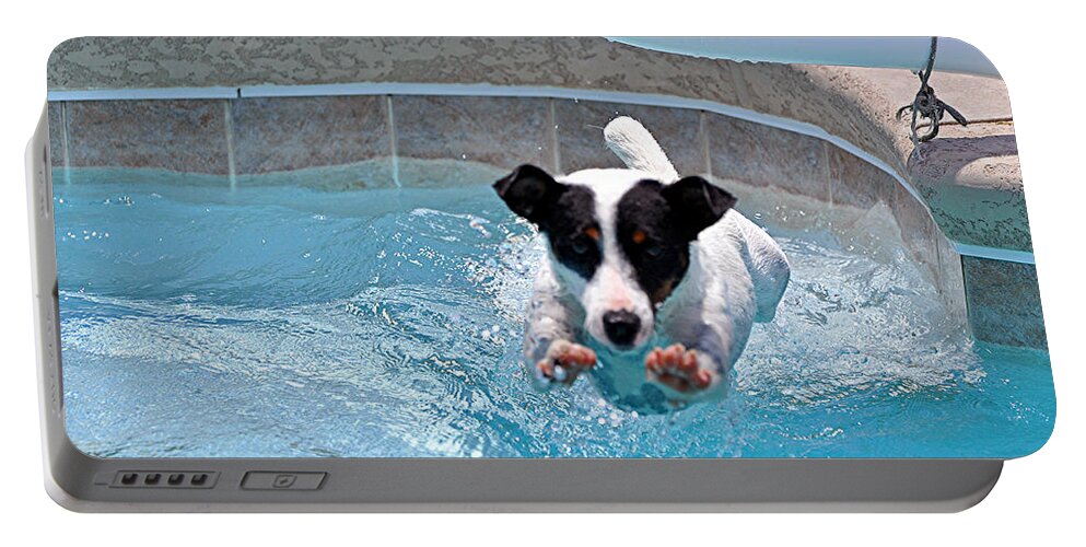 Super Dog Portable Battery Charger featuring the photograph Just Jack by Davids Digits