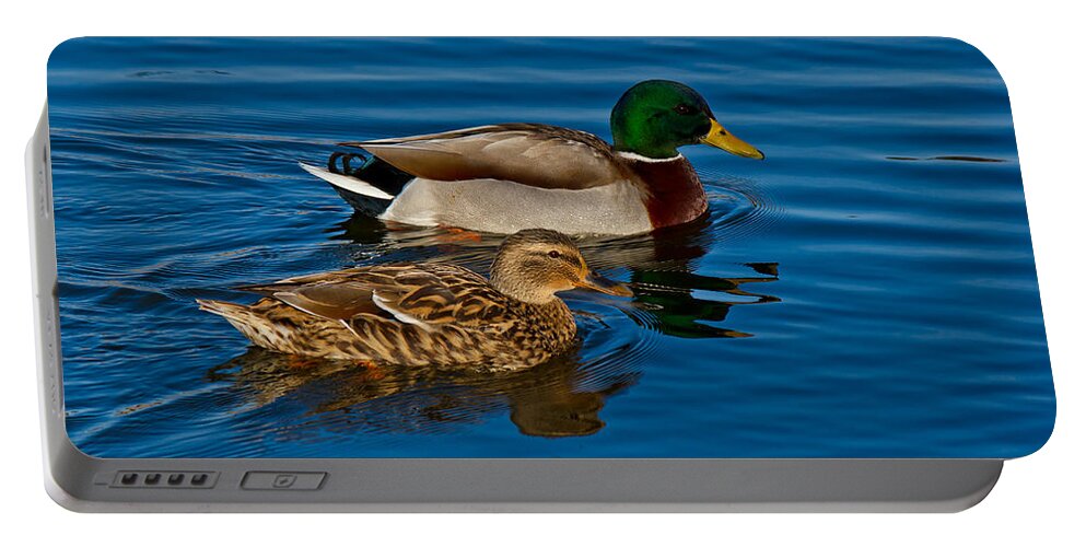 Green Portable Battery Charger featuring the photograph Just Swimming Along by Doug Long
