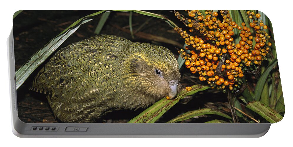 Feb0514 Portable Battery Charger featuring the photograph Kakapo Flightless Feeding On Astelia by Tui De Roy