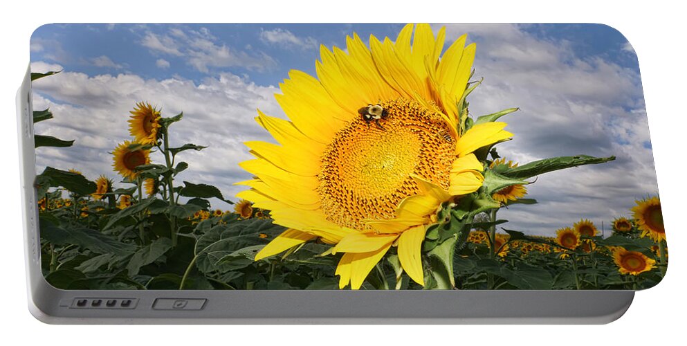 Sunflower Portable Battery Charger featuring the photograph Kansas Sunflower by Alan Hutchins