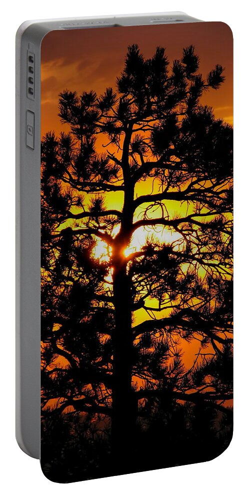 Sunrise Portable Battery Charger featuring the photograph Keystone Pine by Dale Kauzlaric