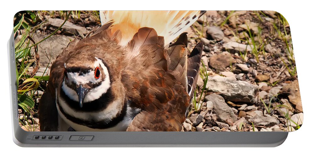 Bird Portable Battery Charger featuring the photograph Killdeer on its nest by Flees Photos