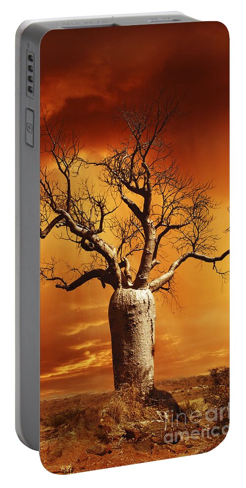 Boab Portable Battery Charger featuring the photograph Kimberley Dreaming by Linda Lees