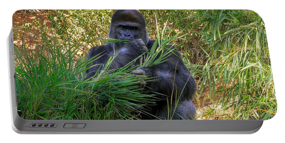 Gorilla Portable Battery Charger featuring the photograph King Of The Mountain by Kathy Baccari