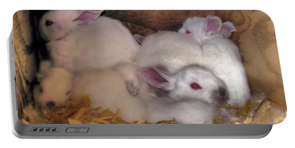 Rabbits Portable Battery Charger featuring the photograph Kits In A Box by Joyce Dickens