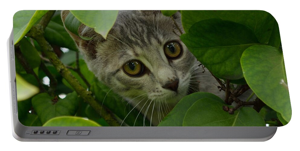 Outdoor Portable Battery Charger featuring the photograph Kitten in the Bushes by Scott Lyons