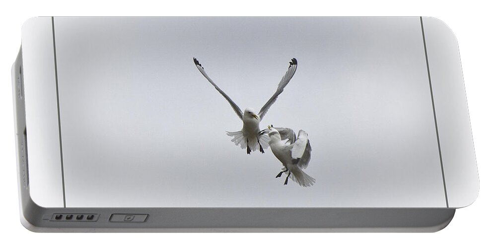 Seagull Portable Battery Charger featuring the photograph Kittiwakes Flight by Heiko Koehrer-Wagner