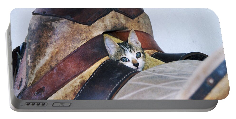 Cat Portable Battery Charger featuring the photograph Kitty in the Saddle by Kae Cheatham