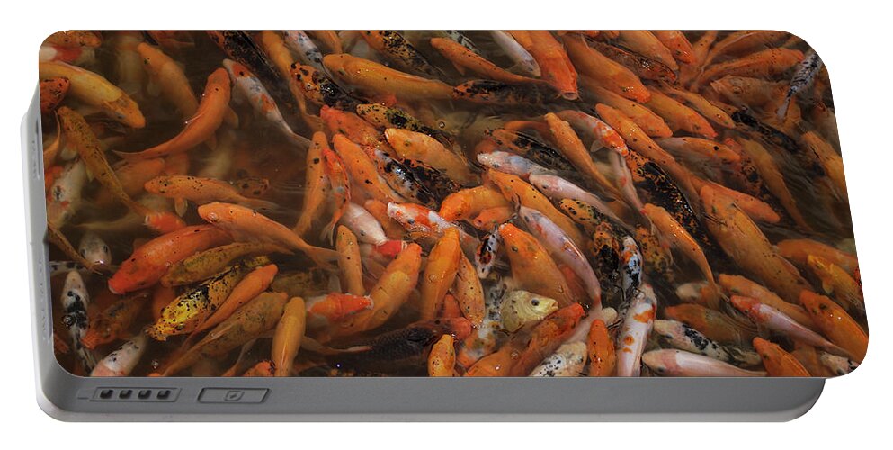 00210406 Portable Battery Charger featuring the photograph Koi School China by Pete Oxford