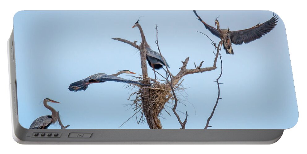 Heron Portable Battery Charger featuring the photograph Ladder by Kevin Dietrich
