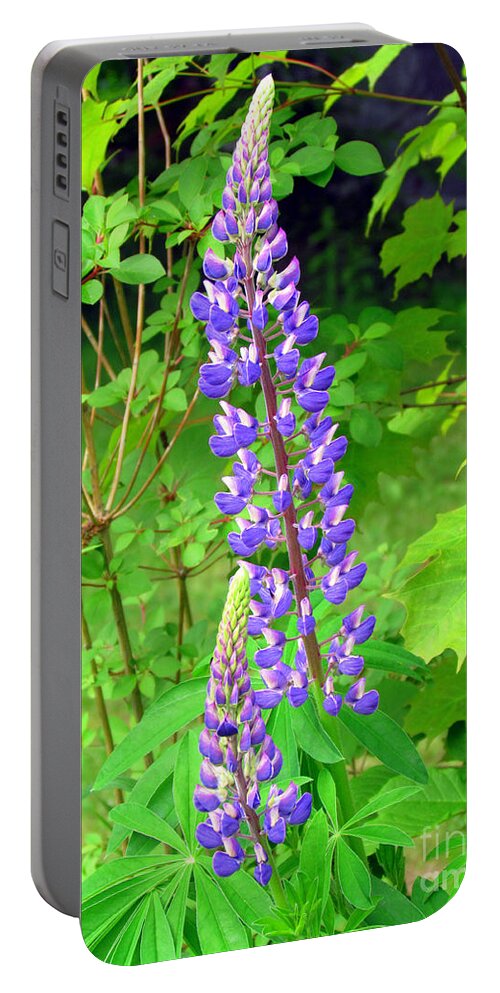 Lupine Portable Battery Charger featuring the photograph Lady Lupine by Elizabeth Dow