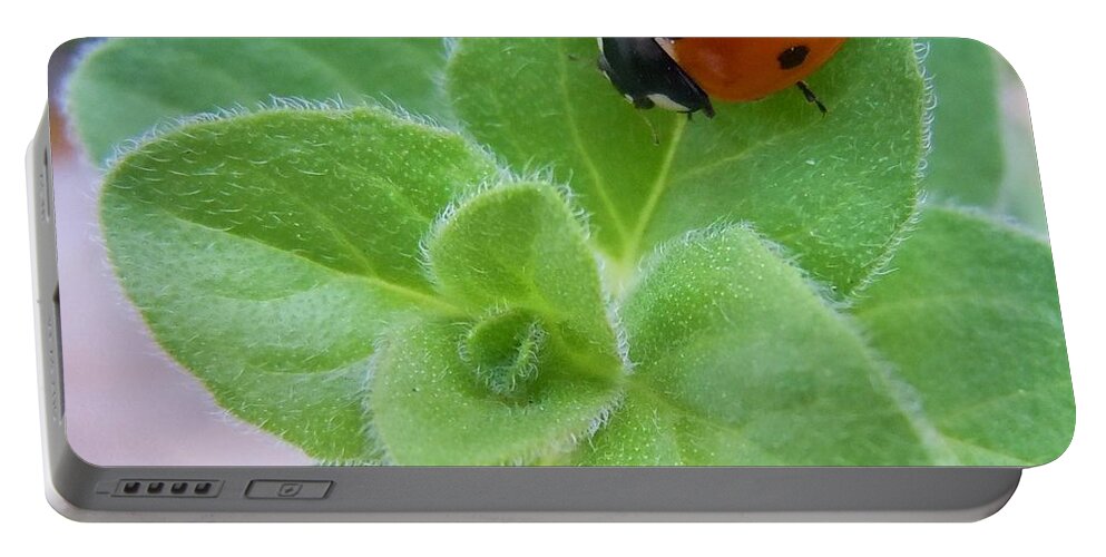 Ladybug Portable Battery Charger featuring the photograph Ladybug and Oregano by Robert ONeil