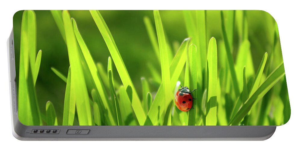 Autumn Portable Battery Charger featuring the photograph Ladybug in Grass by Carlos Caetano