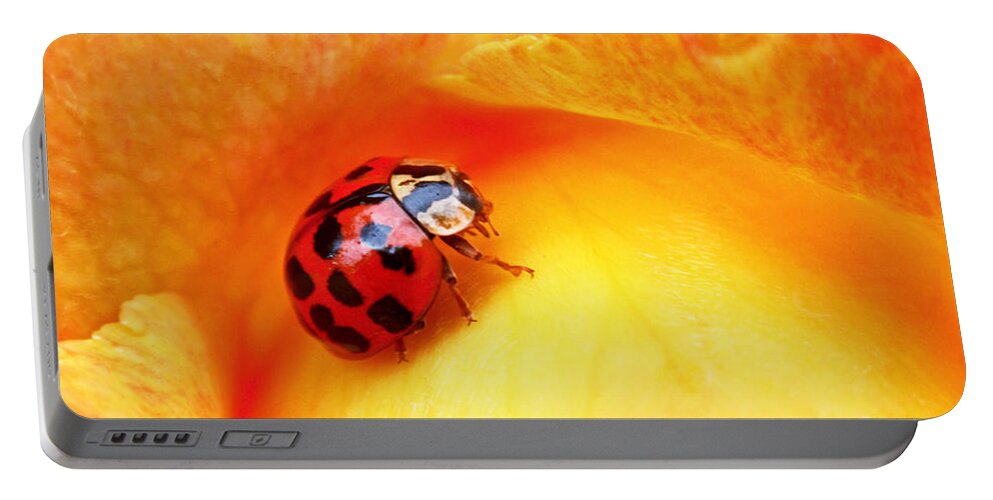 Ladybug Portable Battery Charger featuring the photograph Ladybug by Rona Black