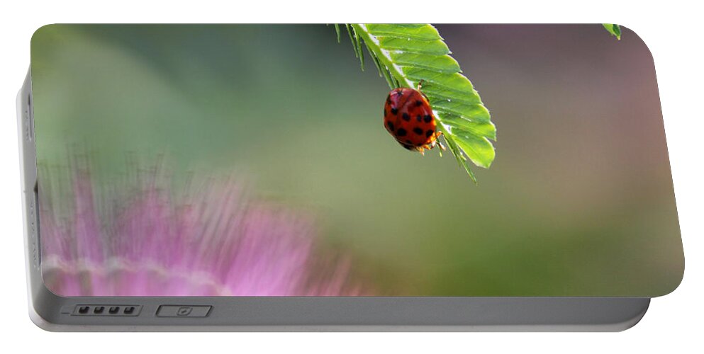 Macro Portable Battery Charger featuring the photograph Ladybug with Mimosa by Jason Politte