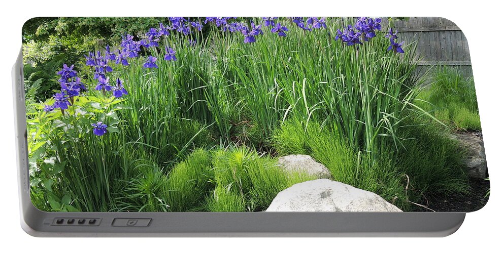 Irises Portable Battery Charger featuring the photograph Lake George Irises by Chrissey Dittus