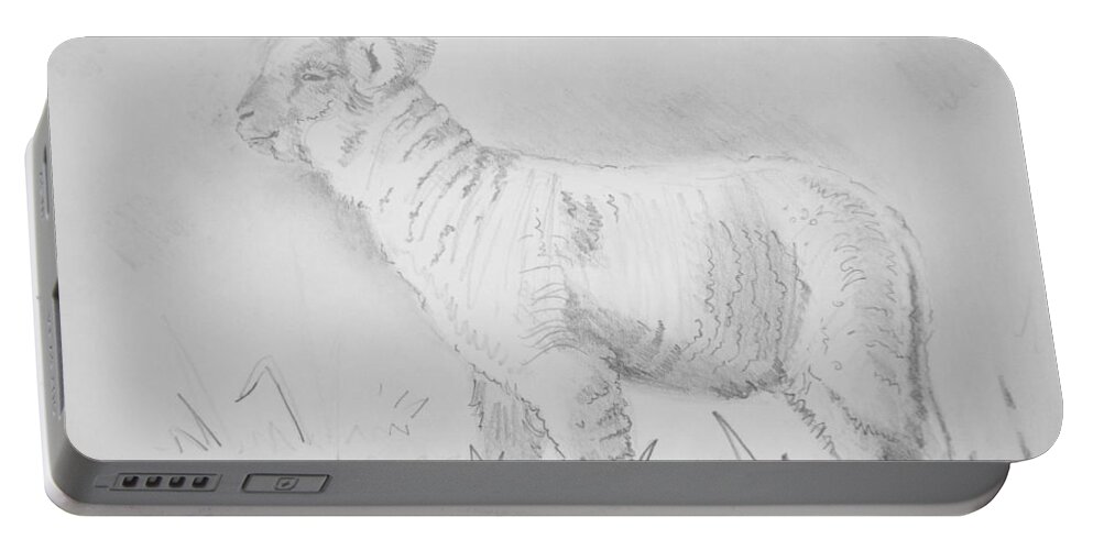  Sheep Portable Battery Charger featuring the drawing Lamb Drawing by Mike Jory