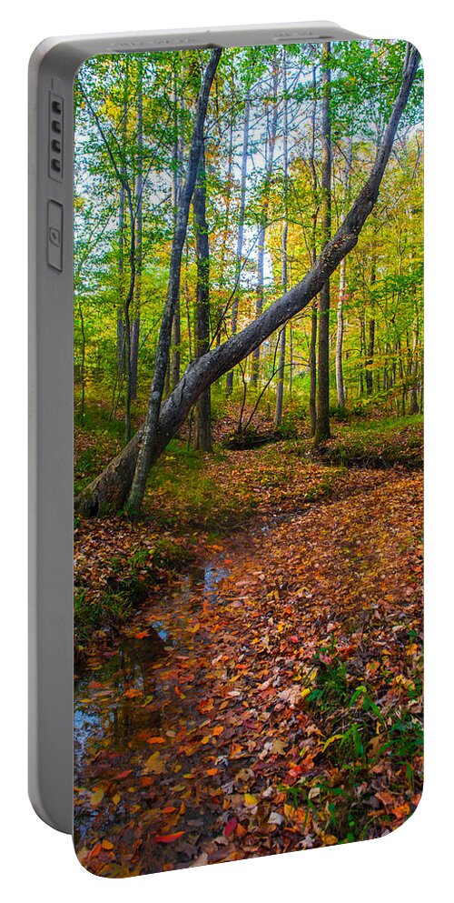 Magical Portable Battery Charger featuring the photograph Land of the Fairies by Parker Cunningham