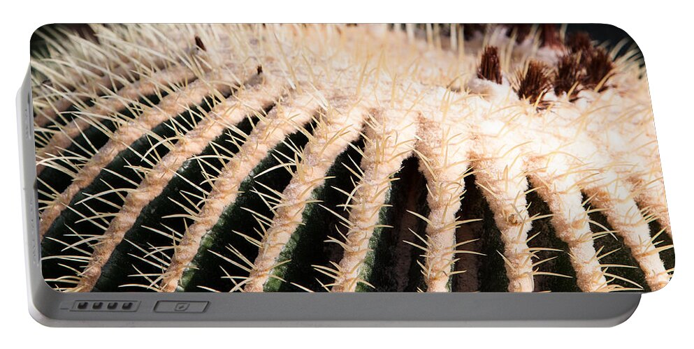 Botanical Portable Battery Charger featuring the photograph Large Cactus Ball by John Wadleigh