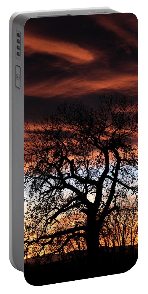 Sunset Portable Battery Charger featuring the photograph Large Cottonwood At Sunset by Shane Bechler