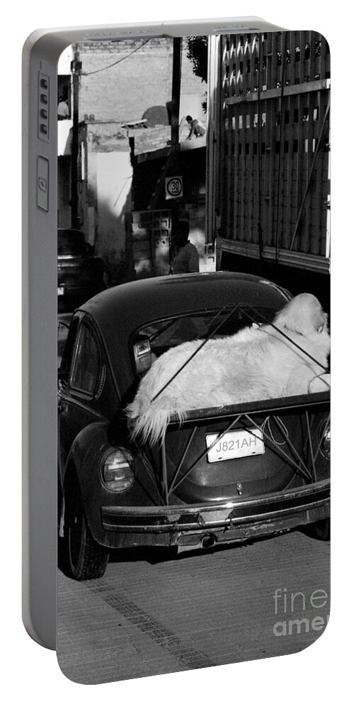 Volkswagen Portable Battery Charger featuring the photograph Large Dog on Beetle by John Harmon
