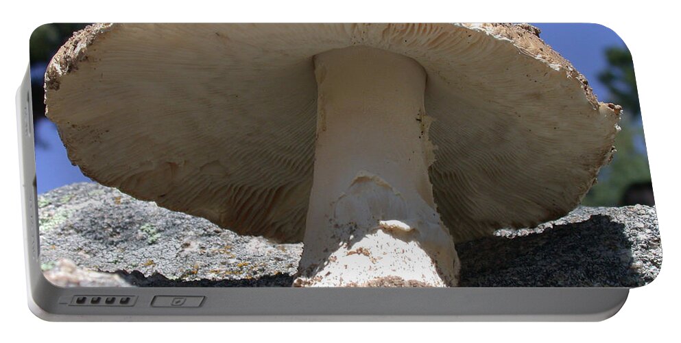 Large Mushroom Portable Battery Charger featuring the photograph Large Mushroom by Shane Bechler