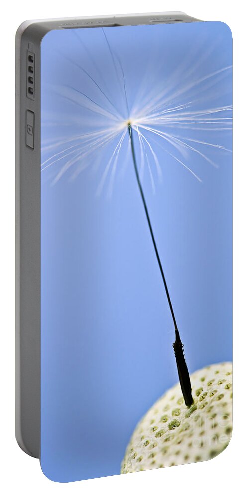 Dandelion Portable Battery Charger featuring the photograph Last dandelion seed by Elena Elisseeva