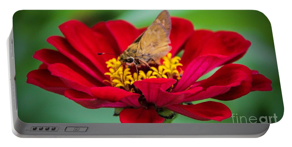 Red Zinnia Flower Portable Battery Charger featuring the photograph Lasting Affection by Elizabeth Winter