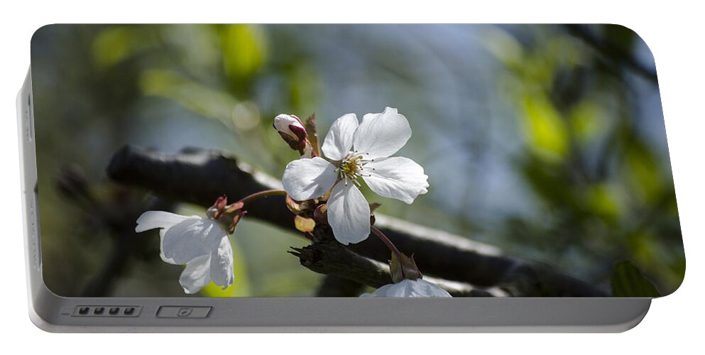 Green Portable Battery Charger featuring the photograph Late Spring Blossom by Spikey Mouse Photography