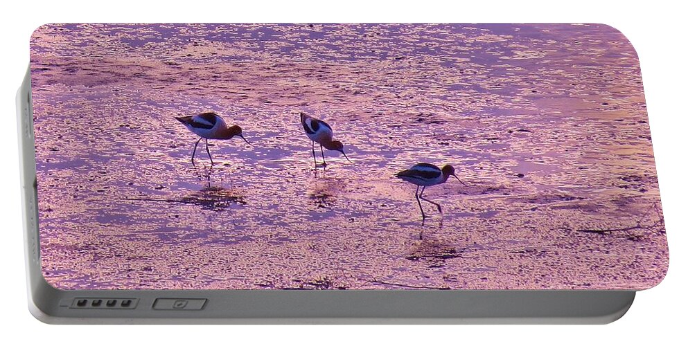 American Avocet Portable Battery Charger featuring the photograph Avocets in Lavender Light by Michele Penner