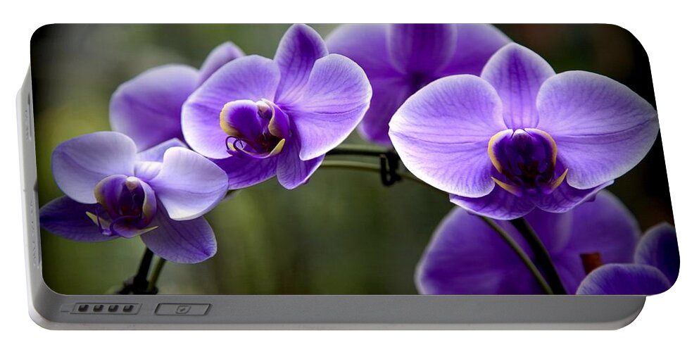 Purple Orchids Portable Battery Charger featuring the photograph Lavender Rainbow by Karen Wiles